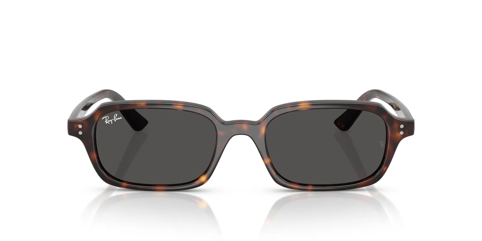 Ray-Ban Zuri 4455F Sunglasses - view 10